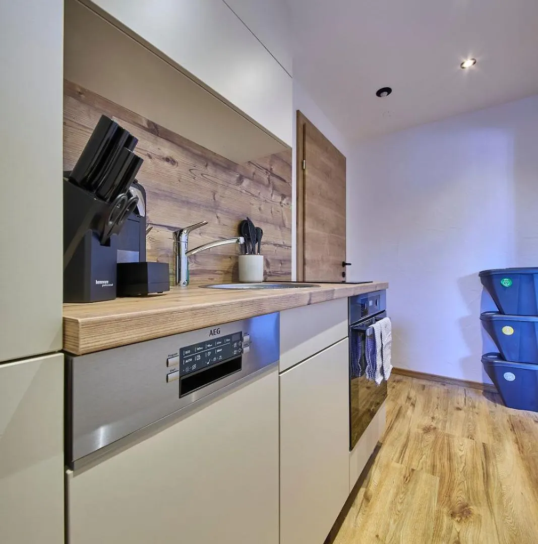 Apartment Eastside Top 8 سالباخ هينترغليم النمسا